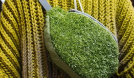 青青青草国产视频,国产视频中的青春记忆与成长轨迹