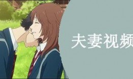 国产夫妻视频在线