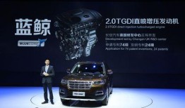 国产无,探索中国制造业的无尽潜能