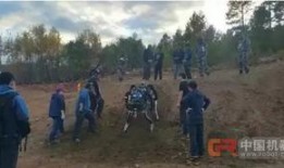 国产野外,国产野外探险之旅