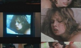 国产在线a片,揭秘国内A片产业的秘密与现状