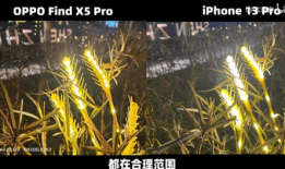 青青青草国产视频,国产视频中的青春记忆与成长轨迹