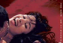 国产19禁,揭秘禁忌之下的激情与挑战